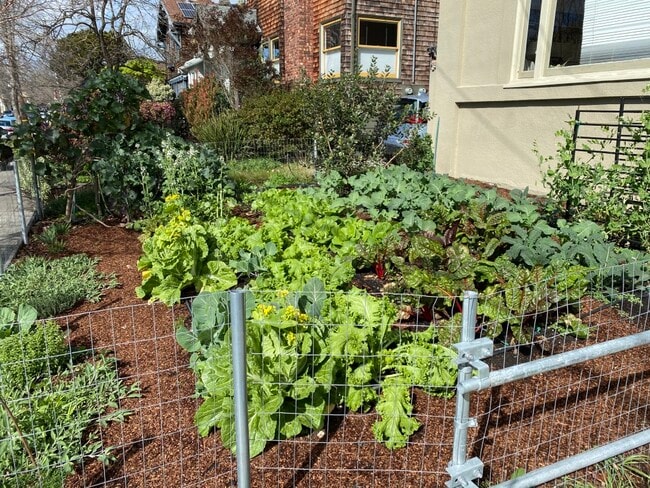 Photo - 6508 Dana St Unit D2