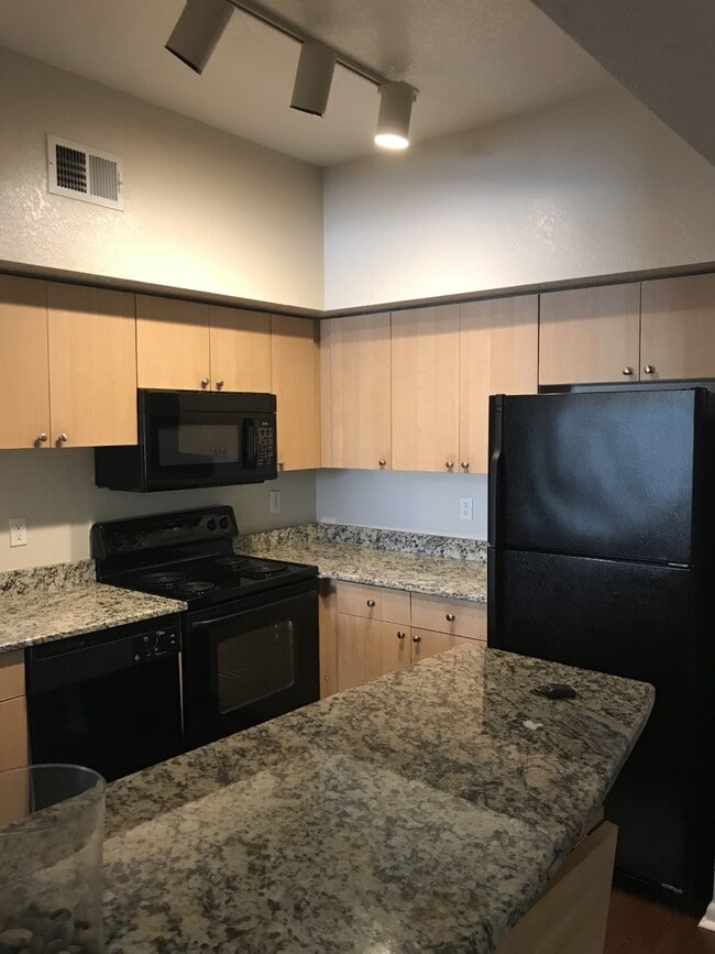 Kitchen - 520 S Armenia Ave Unit 1239G