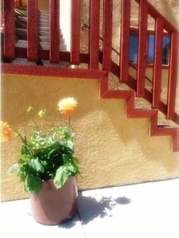 Photo - 2323 82nd Ave