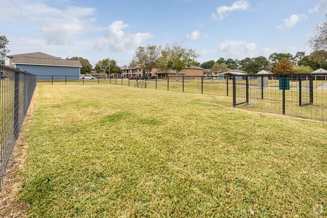 Dog Park