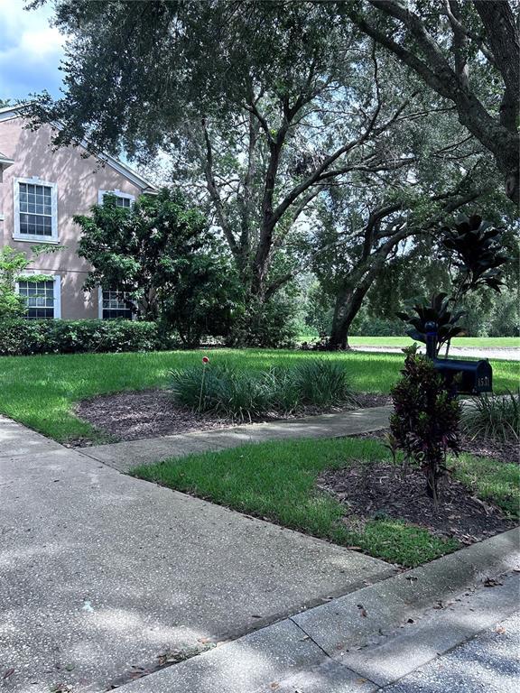 Photo - 1531 McCrea Dr