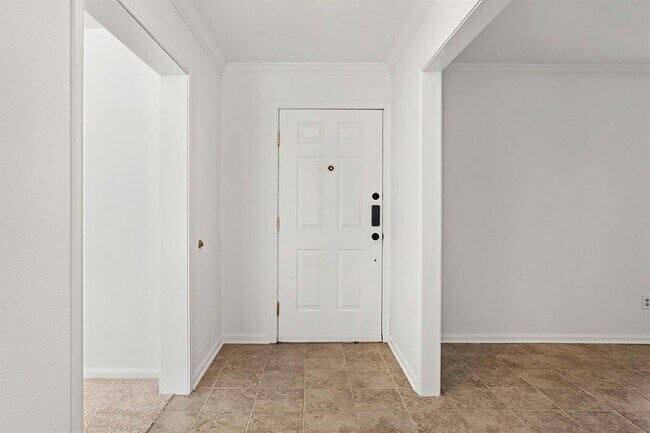 Photo - 10703 Plumewood Dr