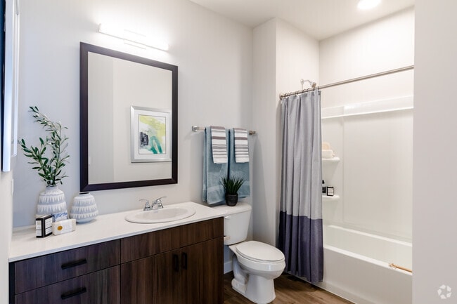 1BR, 1BA - Bathroom
