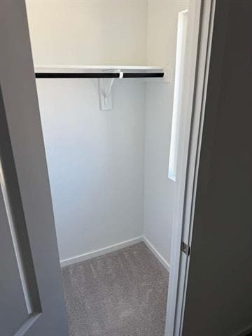 Photo - 12128 Thoroughbred Dr