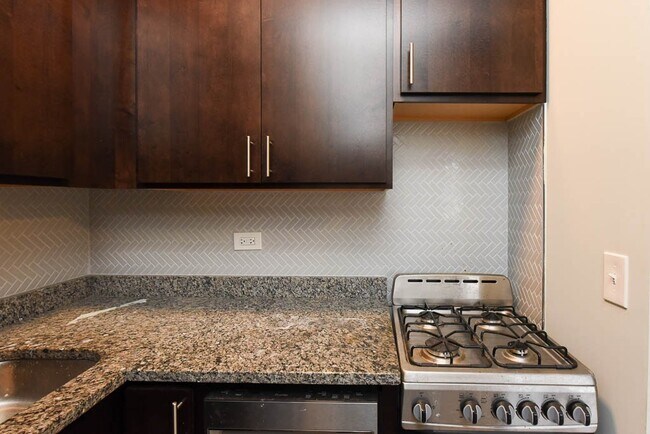 4856 N Damen Unit 413