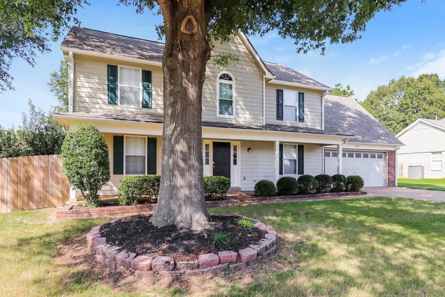 8038 Allbright Cove