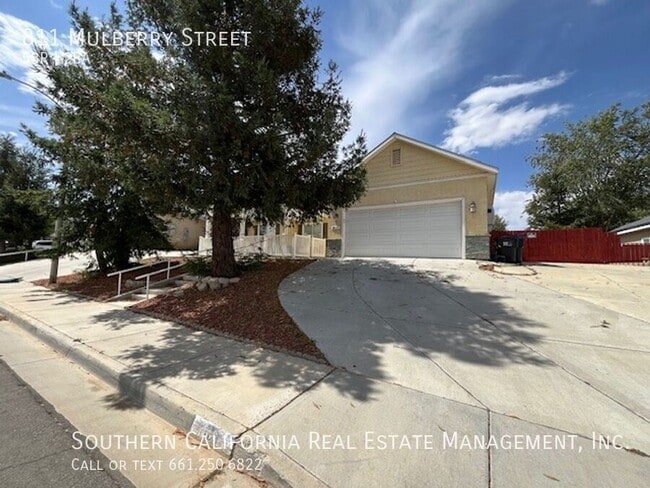 Photo - 811 Mulberry St