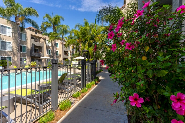 Mission Pacific Apartments