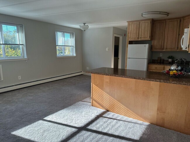 Photo - Metropolitan Manayunk Hill