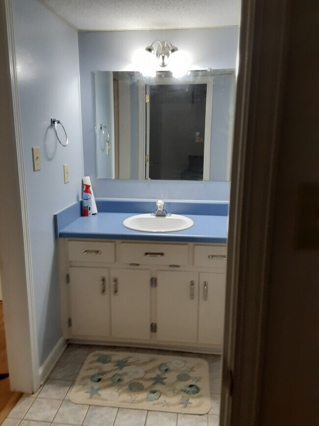 View of the vanity portion of bathroom, while standing at the bedroom door. - 508 Plantation Rd Unidad A