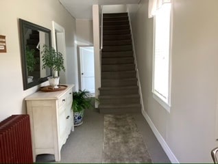 Building Hallway - 290 Bruce Park Ave Unit #4