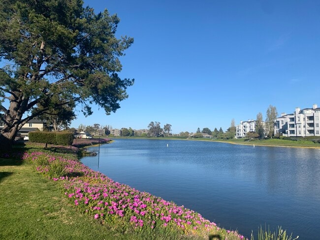 Photo - 1636 Marina Ct Unidad G