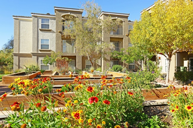 Community Garden