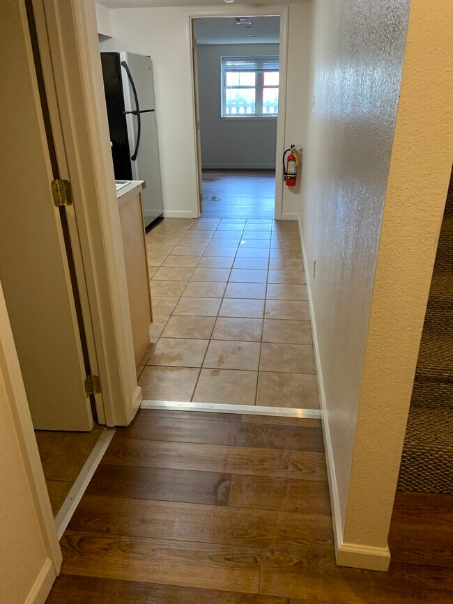 Photo - 211 Willey St