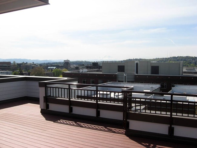 Sundeck