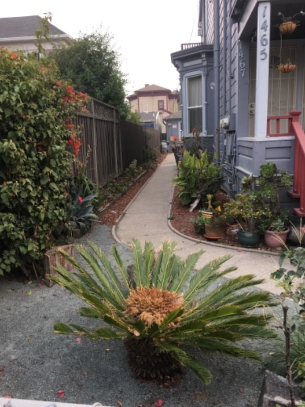 Building Photo - 1465 9th St Rental