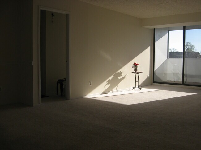 Photo - 5911 Edsall Rd., APT #705