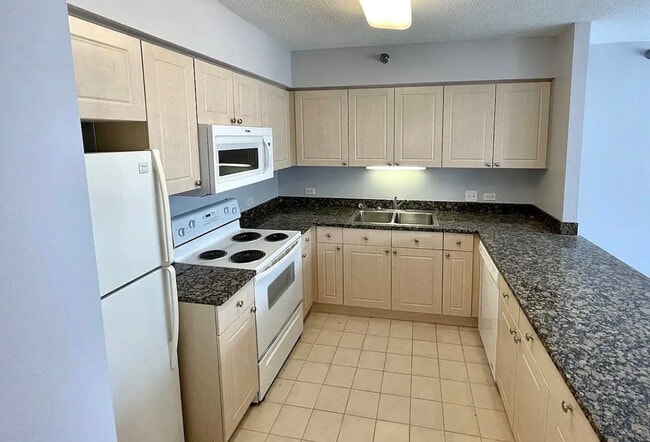 Photo - 512 N McClurg Ct Unit 2009