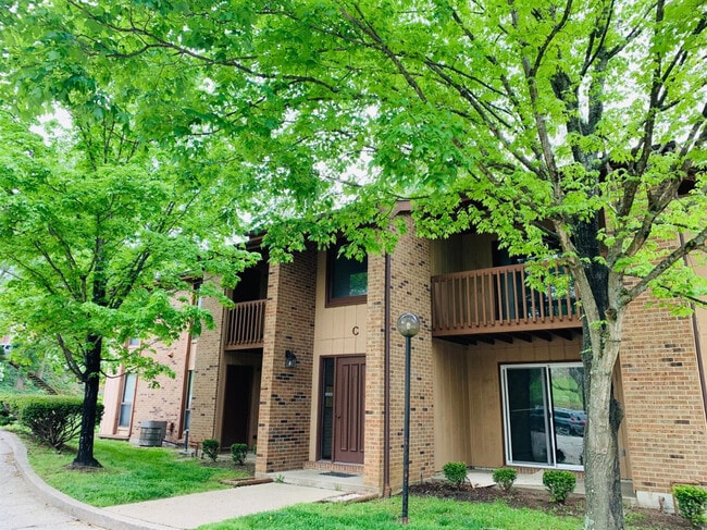 Building Photo - 451 Westwood Dr Unit A3