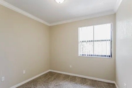 Photo - 8843 SW 228th Ln
