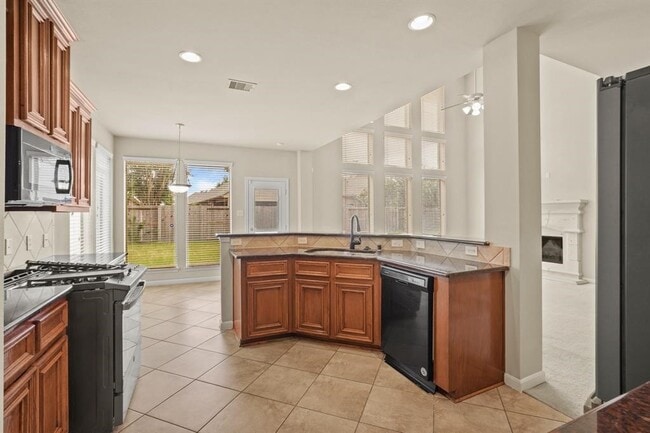 Photo - 15006 Aster Petal Ct