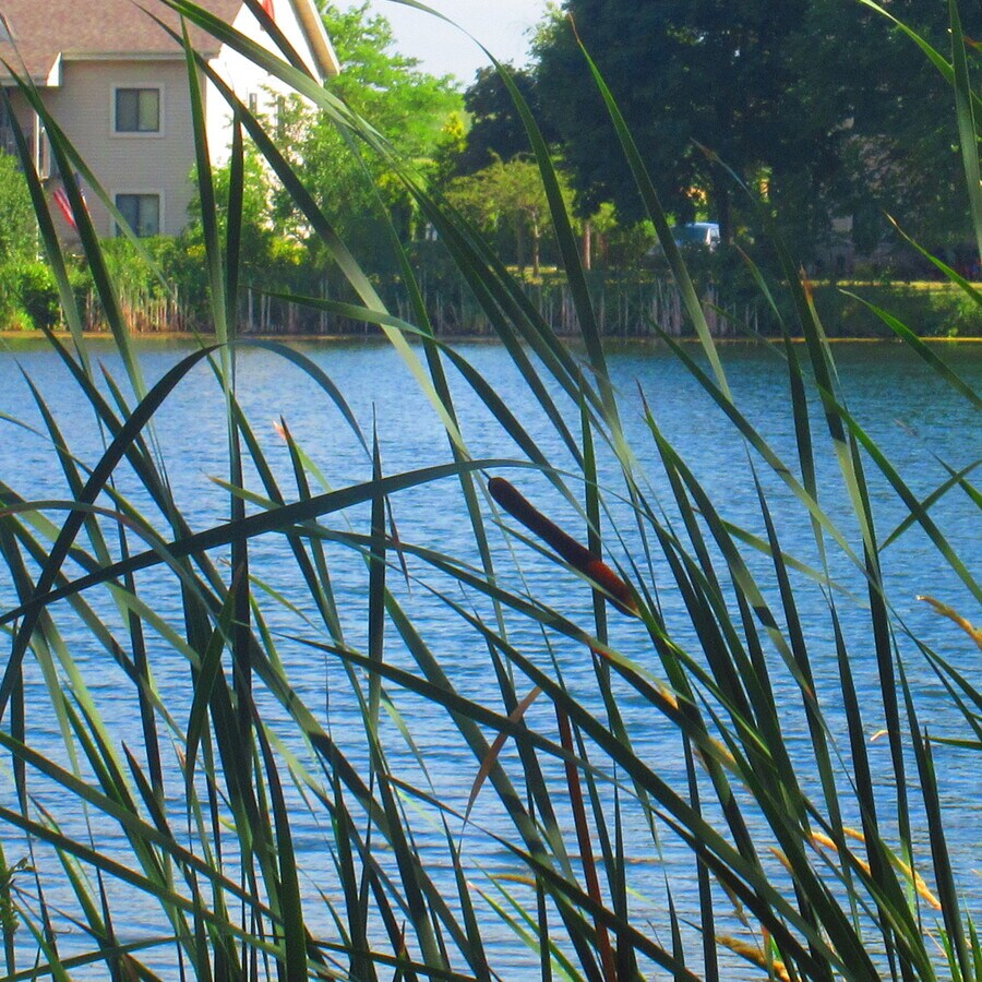 GREAT FISHING - 243 Arrowhead Dr Unit 8
