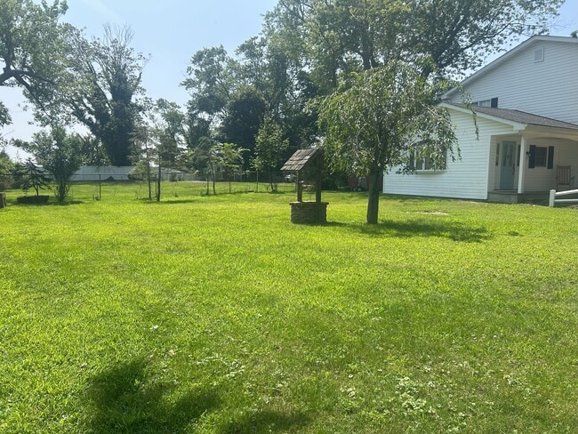 Side Yard - 57 Brook St