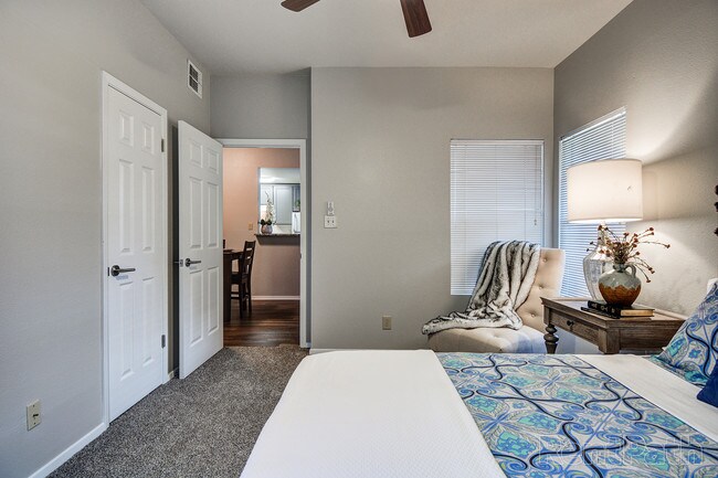 Photo - Cation on the Gaudalupe