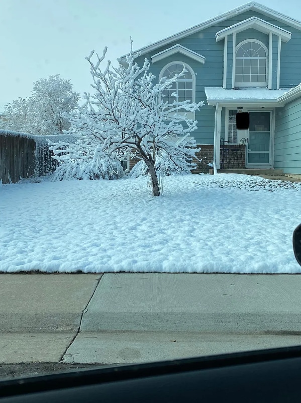 Photo - 5358 Spruce Ave