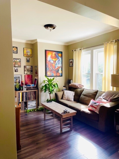 living room - 532 W 1st St Unit 532 W First st