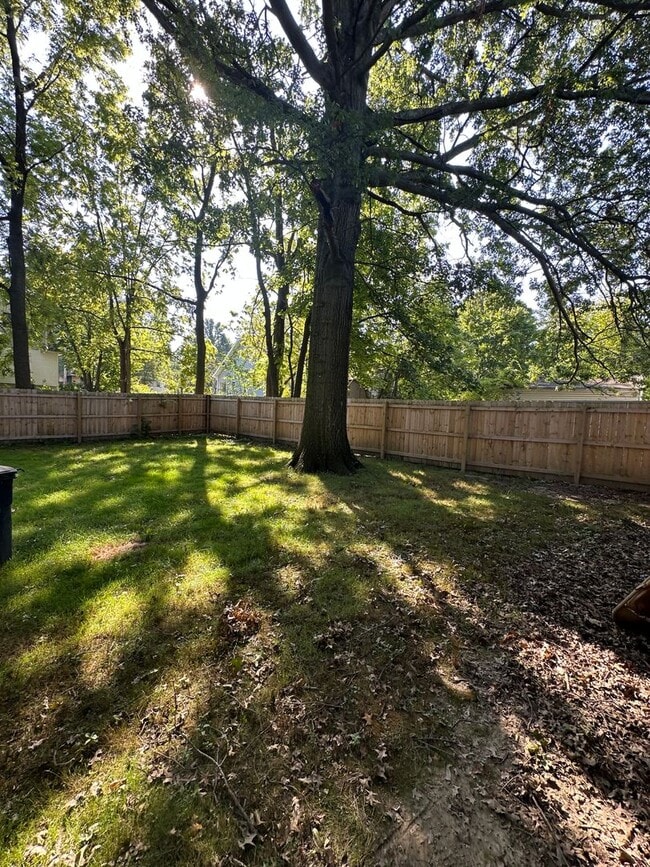 Photo - Westside charmer!