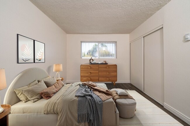 Photo - Oasis Del Sol