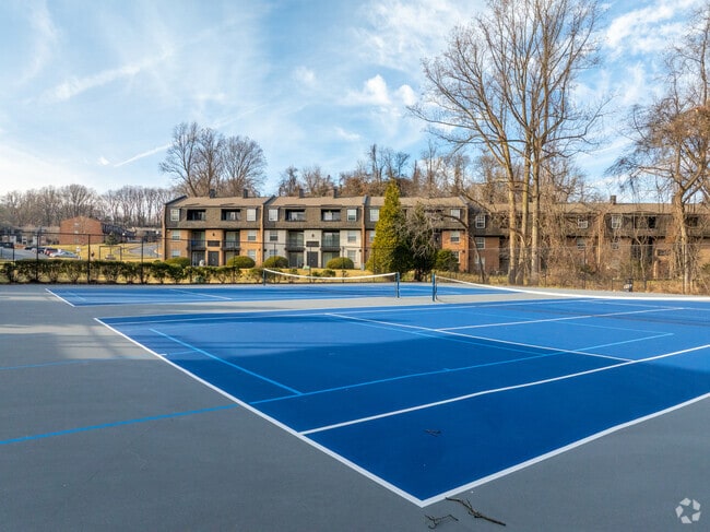 Canchas de pickleball