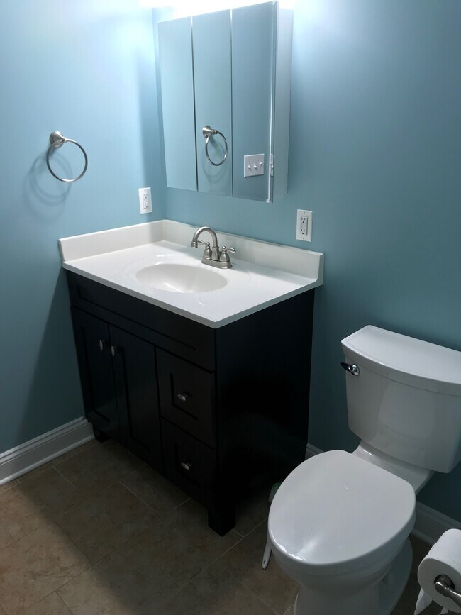 Bathrrom - 60 palmer ave rear