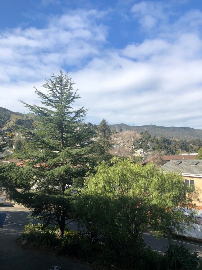 21 Alvarado St