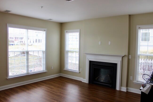 Gas fireplace - 855 Fawn Ln