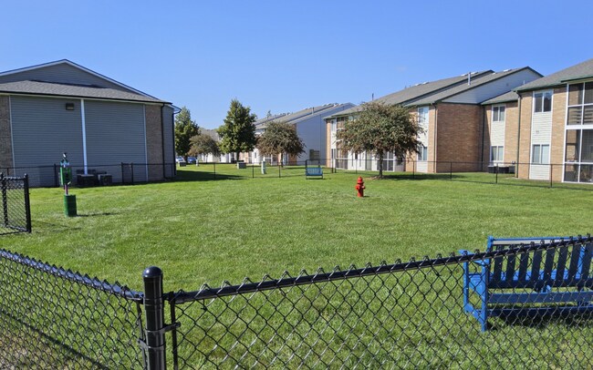 Spacious fenced dog park where pets can play, run, and enjoy the outdoors at Compass Pointe.