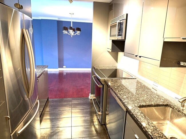 Building Photo - 1555 N Sandburg Terrace Unit 305K