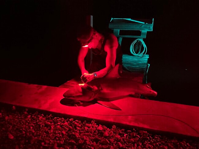 Photo - 2581 Oleander St