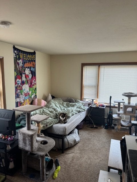 Building Photo - 3311 Harvey St