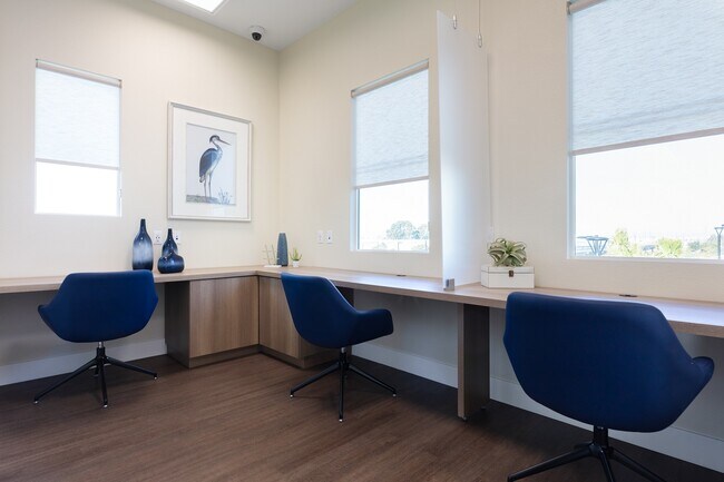 Palmia, Age 55+ Luxury Apartments