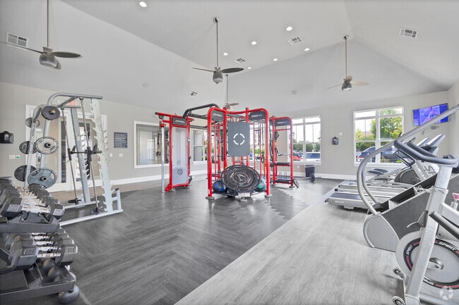 Gimnasio