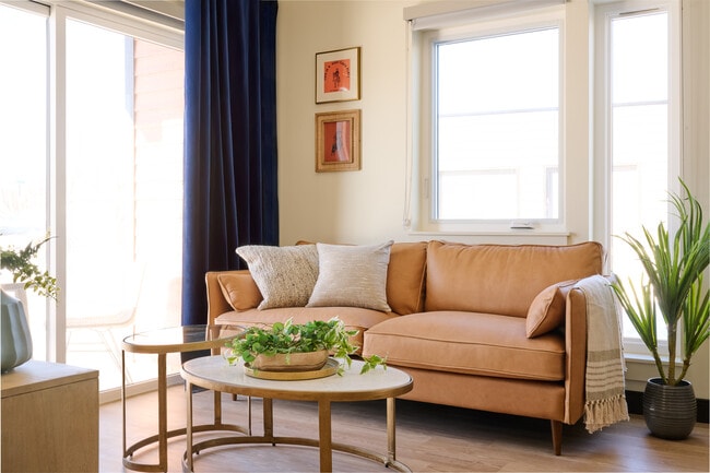 Photo - Pine at Wildroot