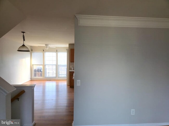 Photo - 157 Darling St