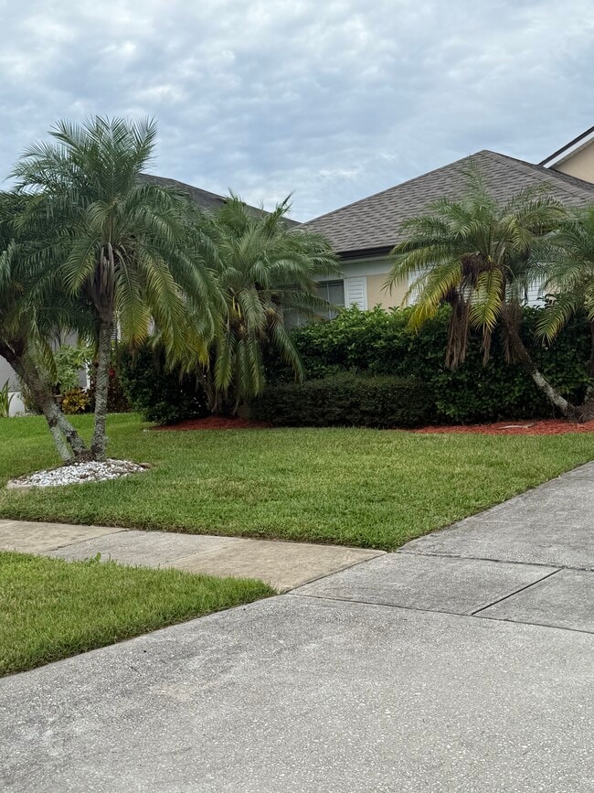 Photo - 2914 River Birch Dr