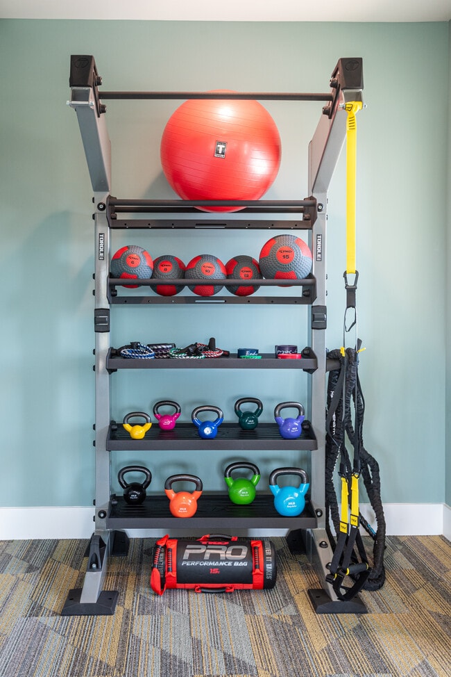 Fitness Center Equipment