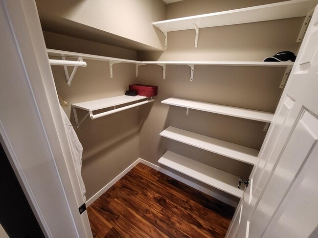 Walk-in closet, with plenty of shelves - 2206 Lincoln Ave Unit B