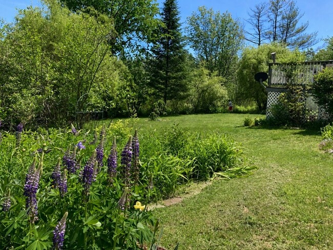 Photo - 129 Lawrence Rd