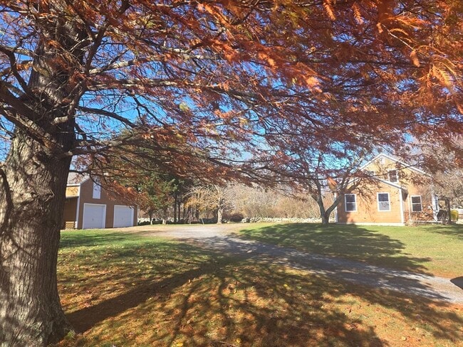 Building Photo - 557 Drift Rd