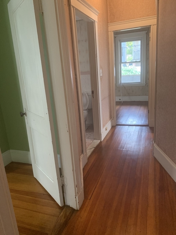 Photo - 3 Harold Park Apartment Unit 2